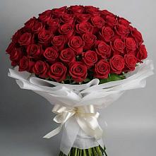 Букет 101 Красная роза Блэк Мэджик в Краасномайский