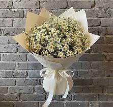 Букет цветов из:  Ромашки #REPLACE_PRED# Краасномайский