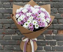 Букет цветов из:  Хризантемы #REPLACE_PRED# Краасномайский