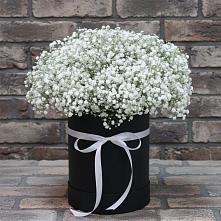 Цветочная композиция из Гипсофила в шляпной коробке #REPLACE_PRED# Краасномайский