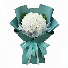 Букет цветов из:  Гортензия #REPLACE_PRED# Краасномайский
